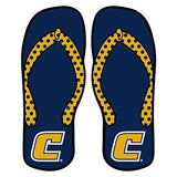 Tennessee - Chattanooga Decal